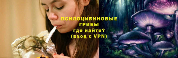 МДПВ Богородицк