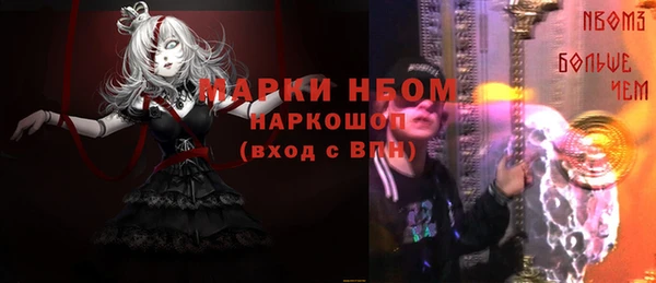 соль ск Богородск