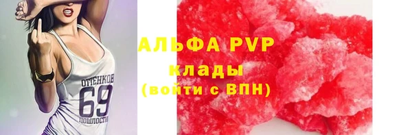 спиды Бородино