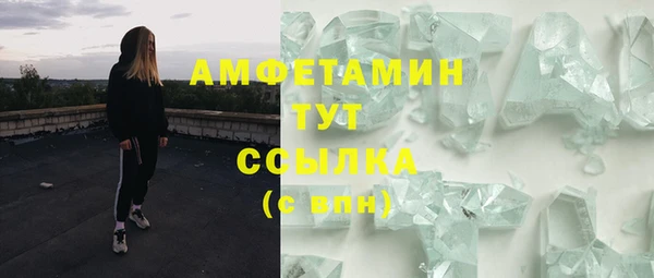 гашик Богданович