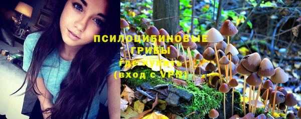 соль ск Богородск