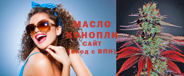 спиды Бородино