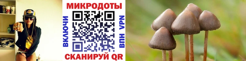 blacksprut ONION  Городовиковск  Псилоцибиновые грибы мицелий 